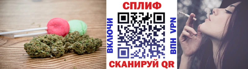 Canna-Cookies конопля  как найти   Асино 