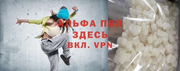 стафф Алзамай