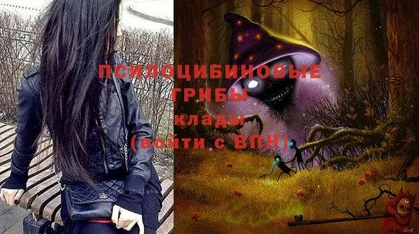 твердый Алексин