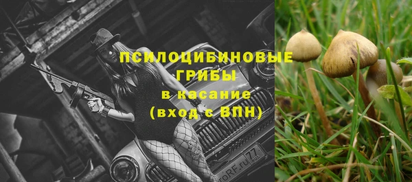 твердый Алексин