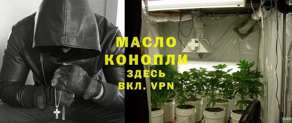 молекула духа Новозыбков