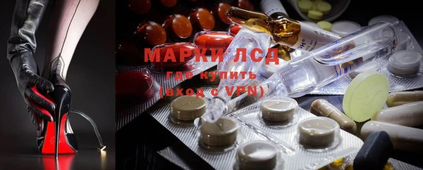 прущие грибы Новокубанск