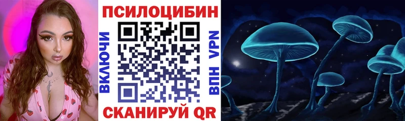 где купить   Асино  Псилоцибиновые грибы Magic Shrooms 